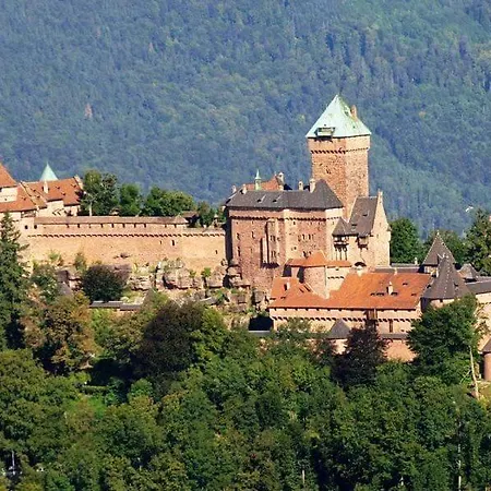 Apartament Habsiger *