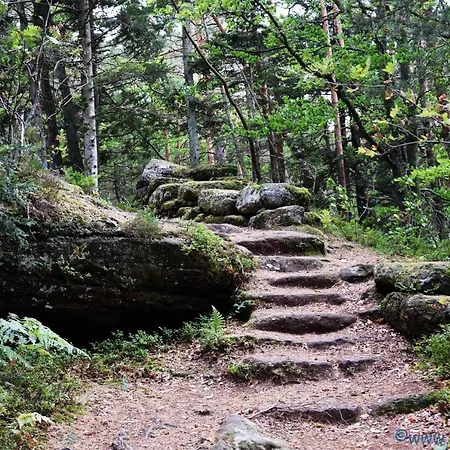 Habsiger * オットロット